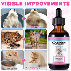 Gouttes liquides Onznoz Collagen for Cats en gros plan, facilite dosage précis