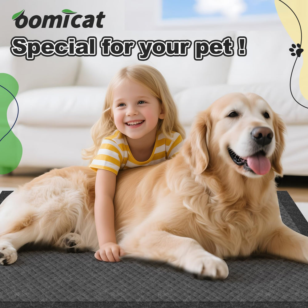 OOMICAT tapis dans un salon quotidien, maintien hygiène et protection des meubles