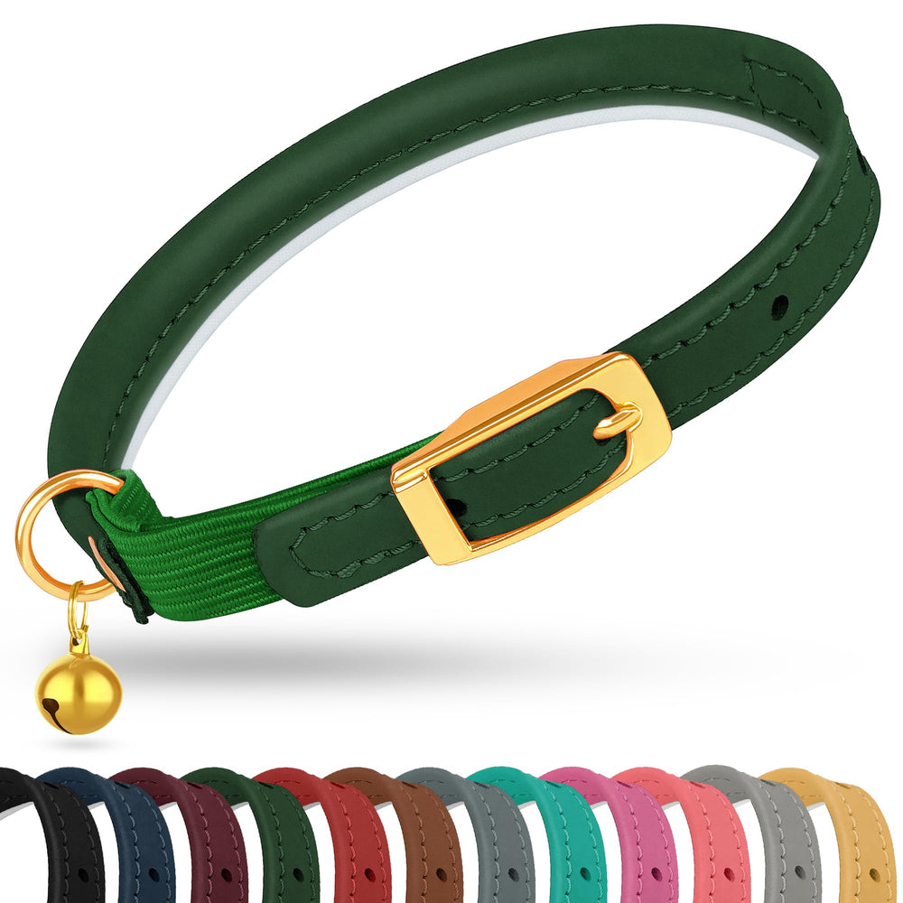 OOPSDOGGY collier vert face montrant design élégant et confort