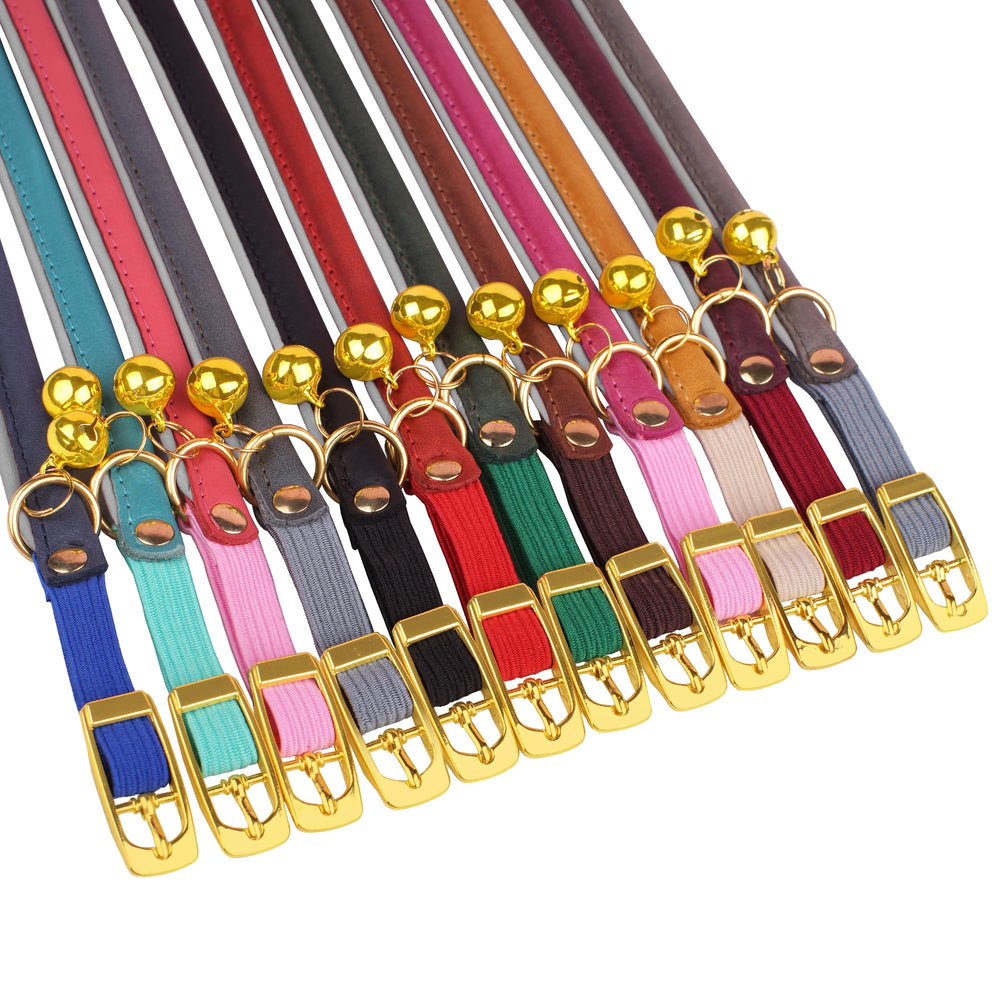 OOPSDOGGY comparaison taille montrant plage 8" à 11"