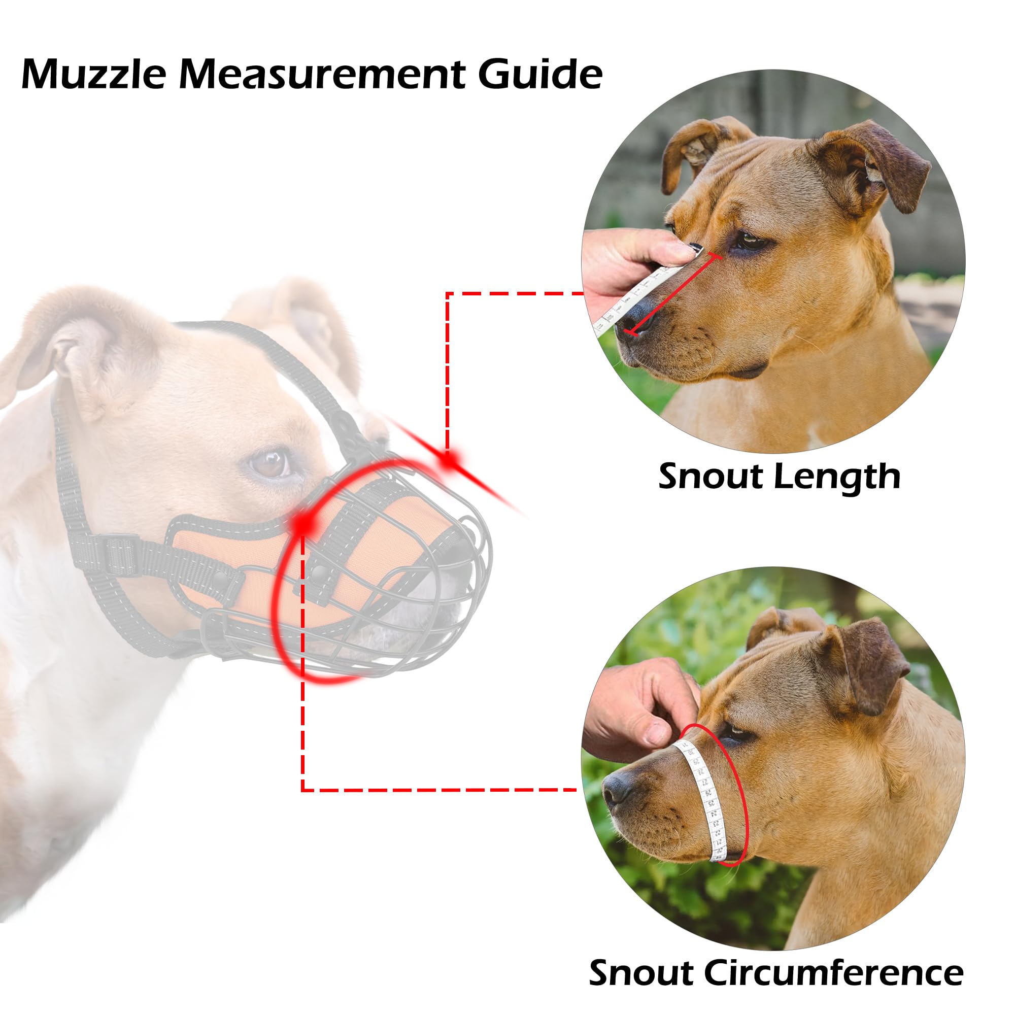 OOPSDOGGY comparaison taille illustrant ajustement adapté