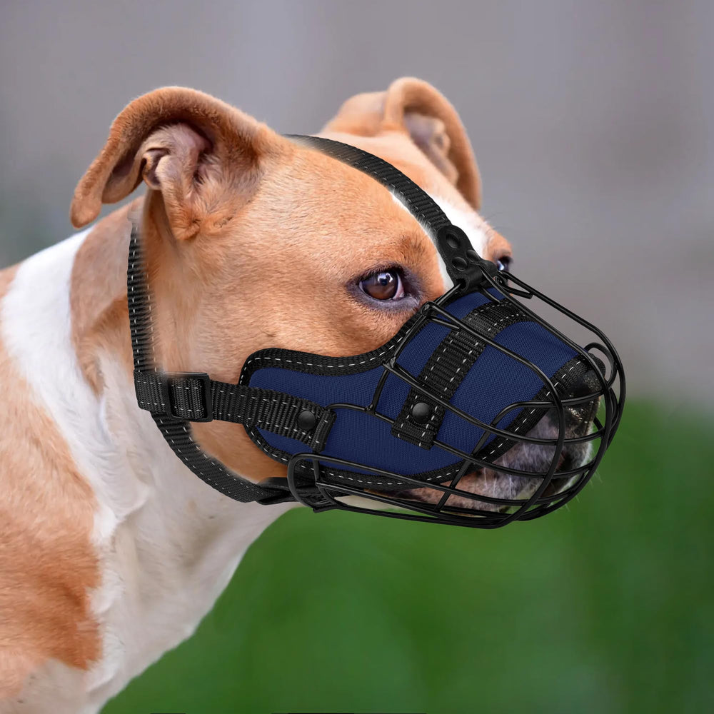OOPSDOGGY muselière pendant que le chien boit, permet boire