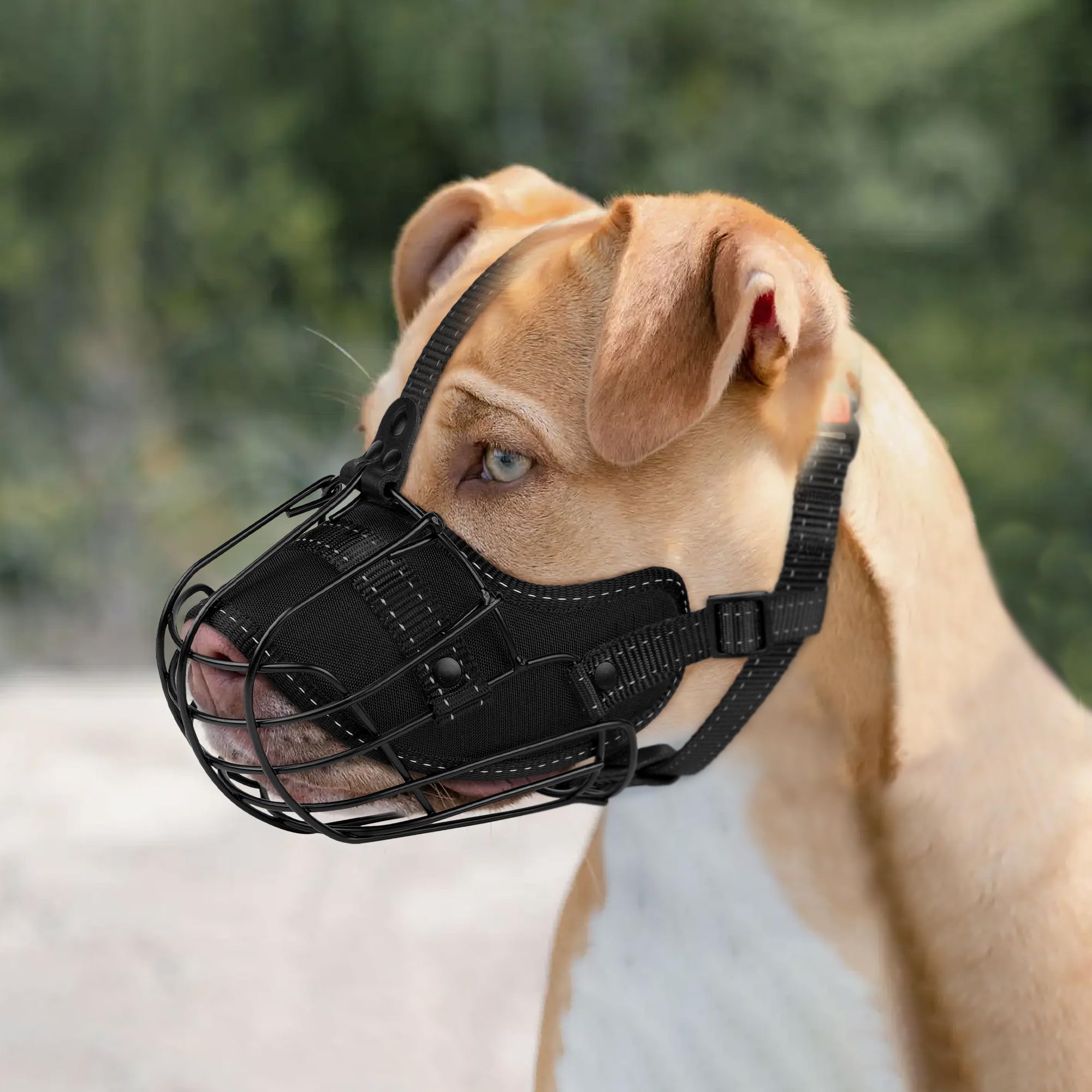 OOPSDOGGY promenade nocturne démontrant sécurité renforcée