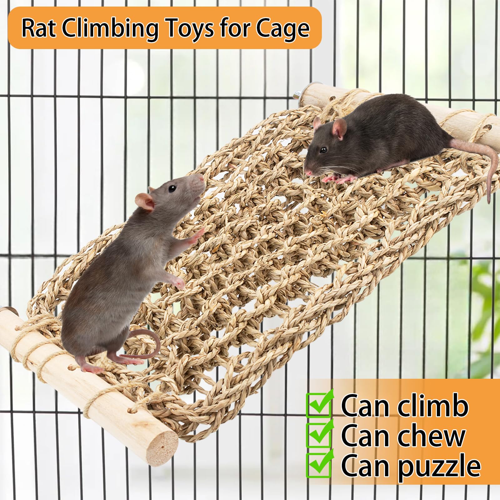 OOXYG hamac installé dans une cage avec rat utilisant l'échelle pour jouer