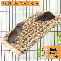 OOXYG hamac installé dans une cage avec rat utilisant l'échelle pour jouer
