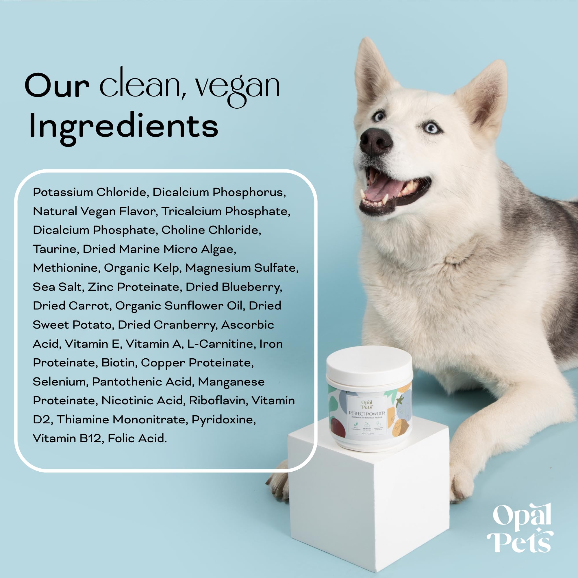 Opal Pets chien mange dans assiette goût apprécié et appétence