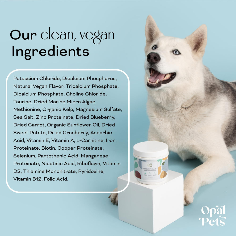Opal Pets chien mange dans assiette goût apprécié et appétence