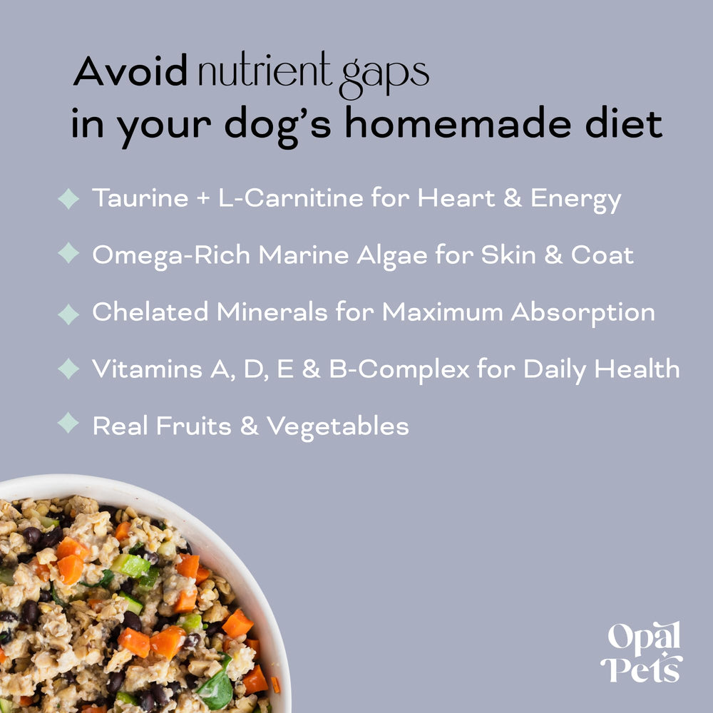 Opal Pets bocal à l'échelle montre taille réelle et portion pratique