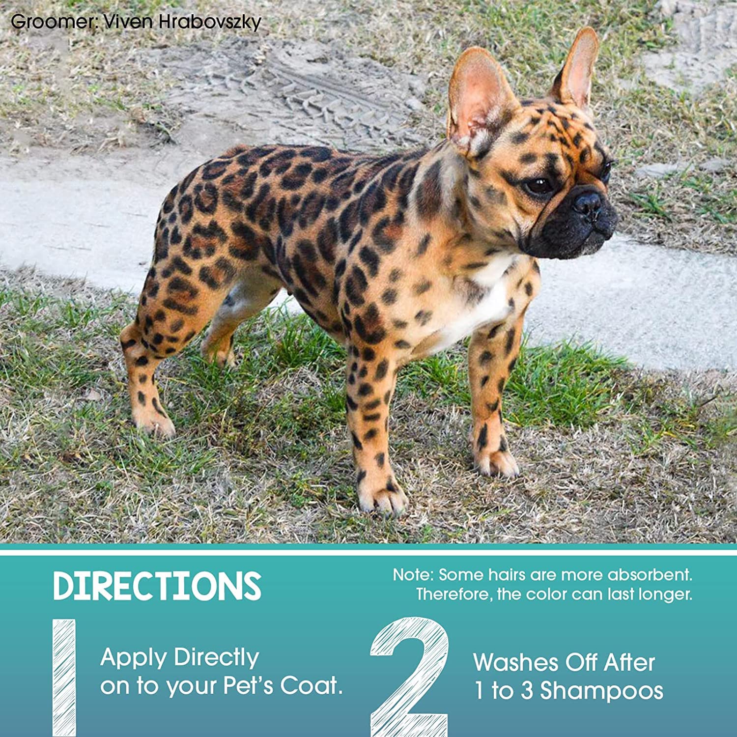 OPAWZ chien avec motif coloré illustrant un look créatif et sûr