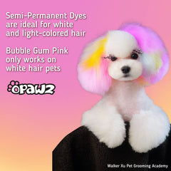 OPAWZ résultat sur bichon blanc montrant couleur durable et uniforme