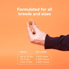 Open Farm chew dans la main démontrant facilité de distribution