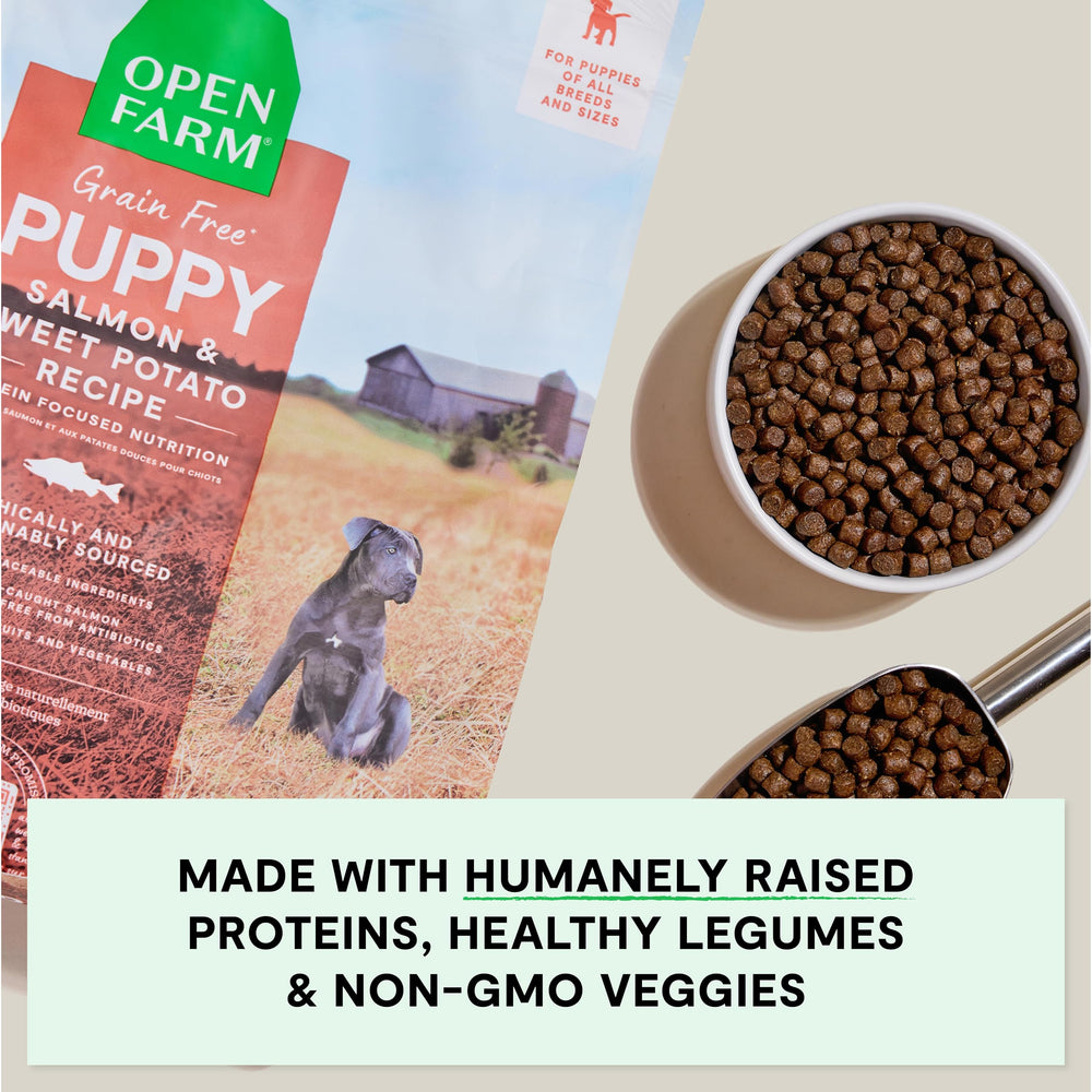 Open Farm chiot mangeant croquettes énergie et développement soutenus