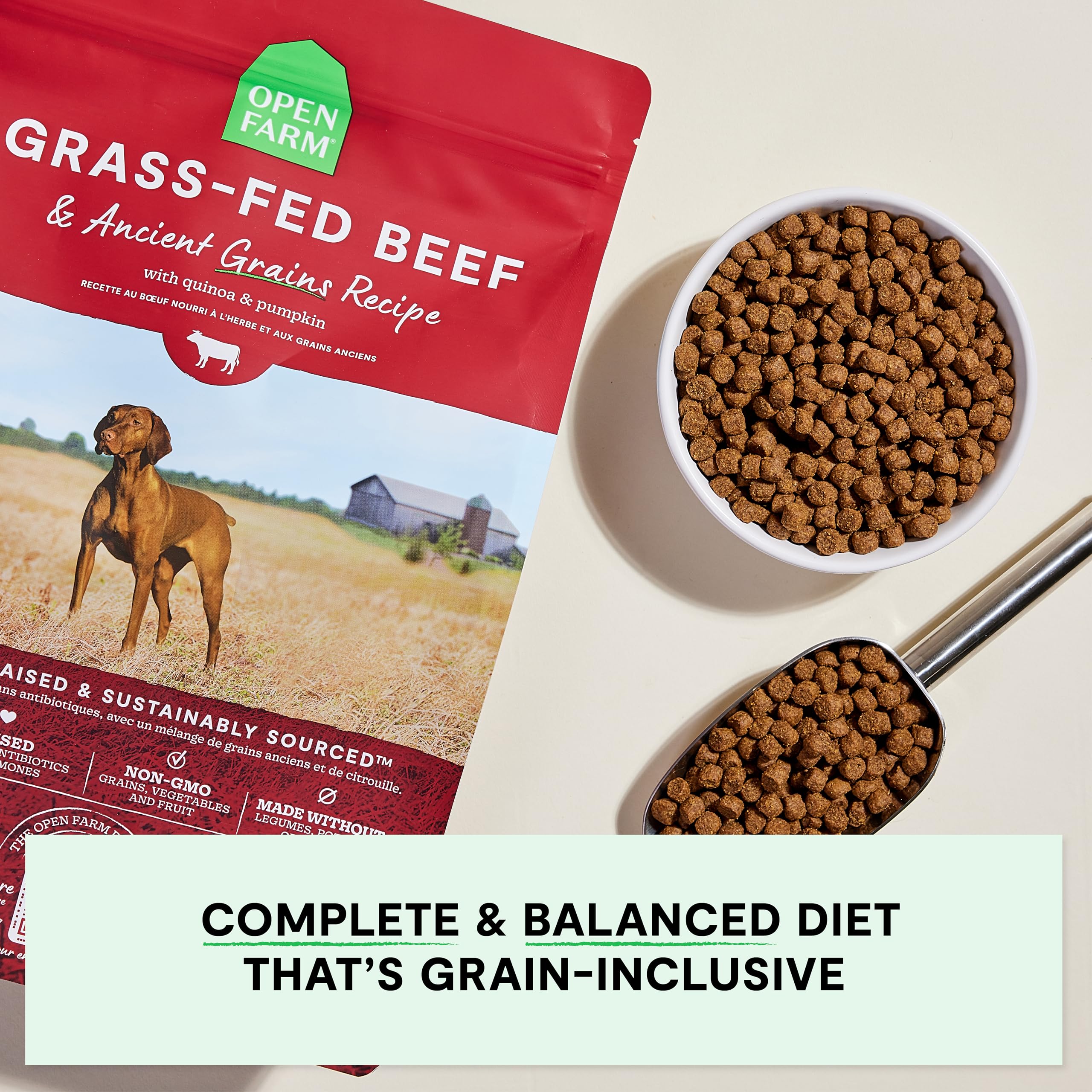 Open Farm gros plan croquettes montrant texture digestible et appétence