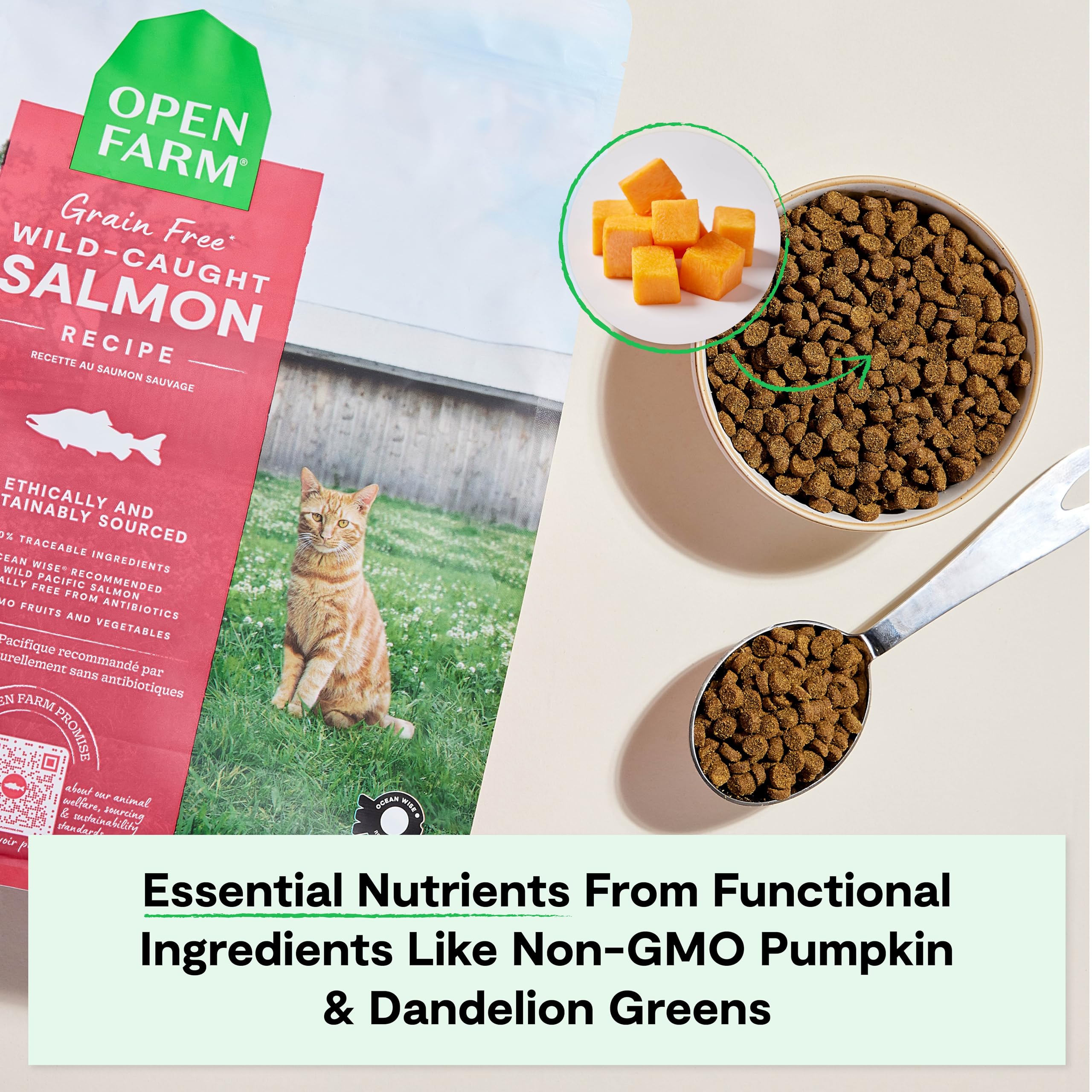 Open Farm croquettes servies dans un bol, portion pratique