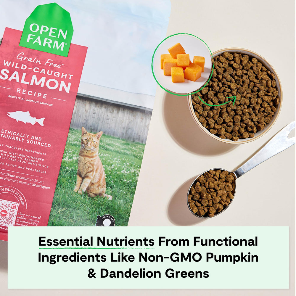 Open Farm croquettes servies dans un bol, portion pratique
