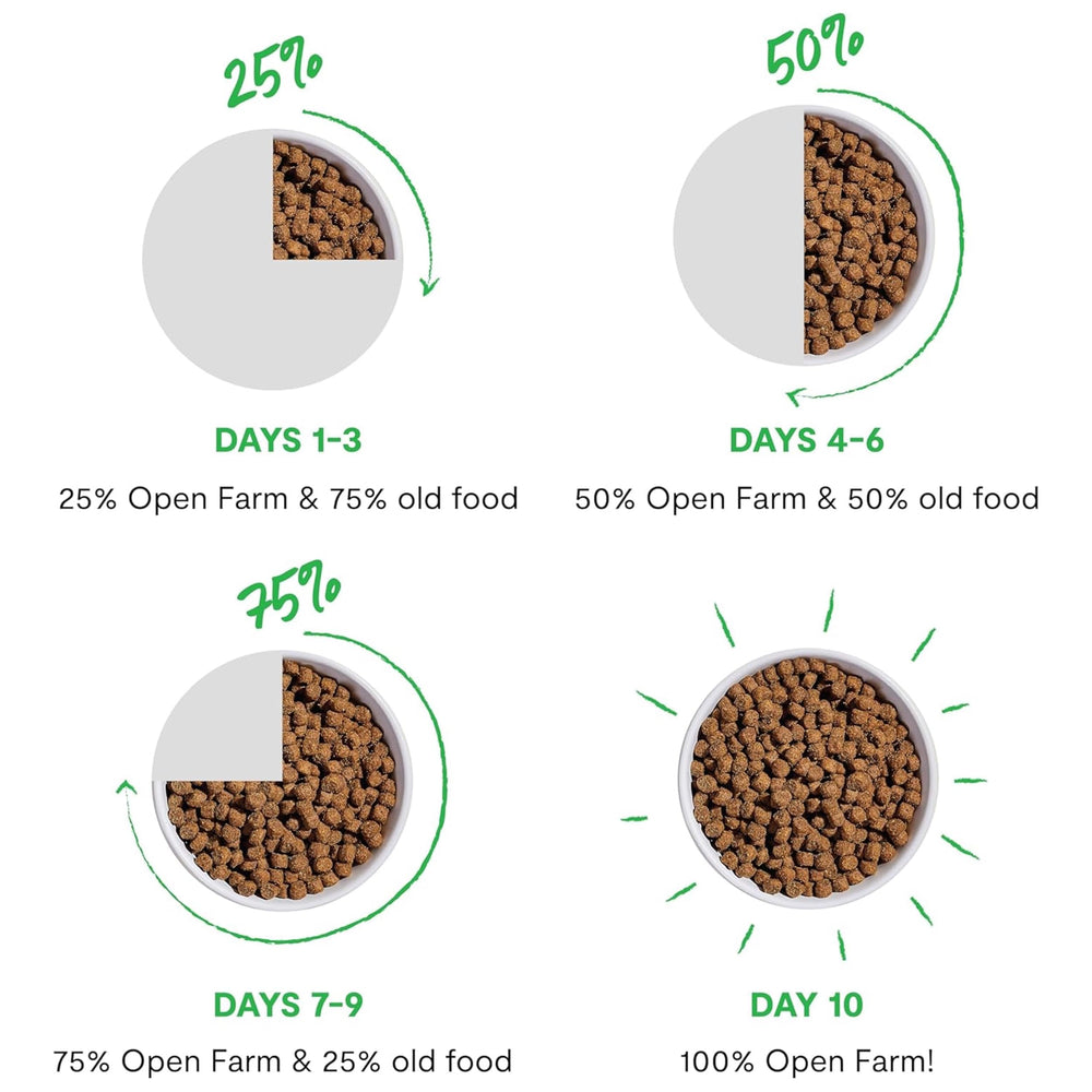 Open Farm chien consommant les croquettes dans un cadre de vie sain et actif