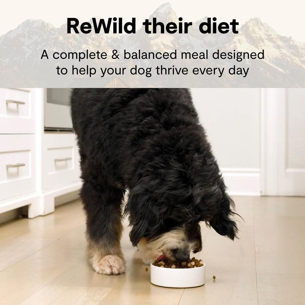 Open Farm gros plan des granules et morceaux lyophilisés pour saveur