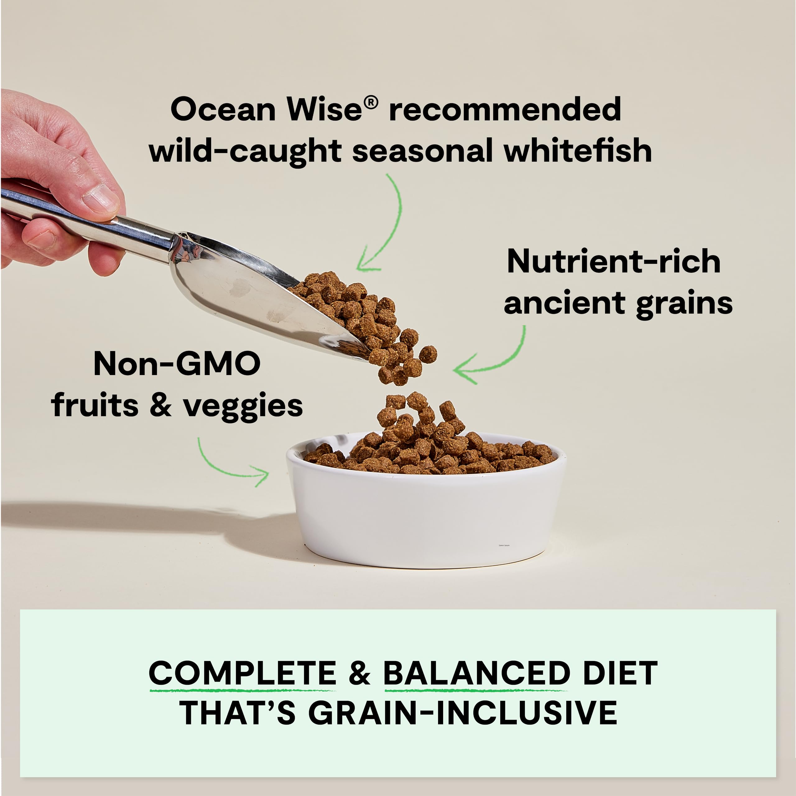 Open Farm gros plan kibble montrant texture digestible et appétence