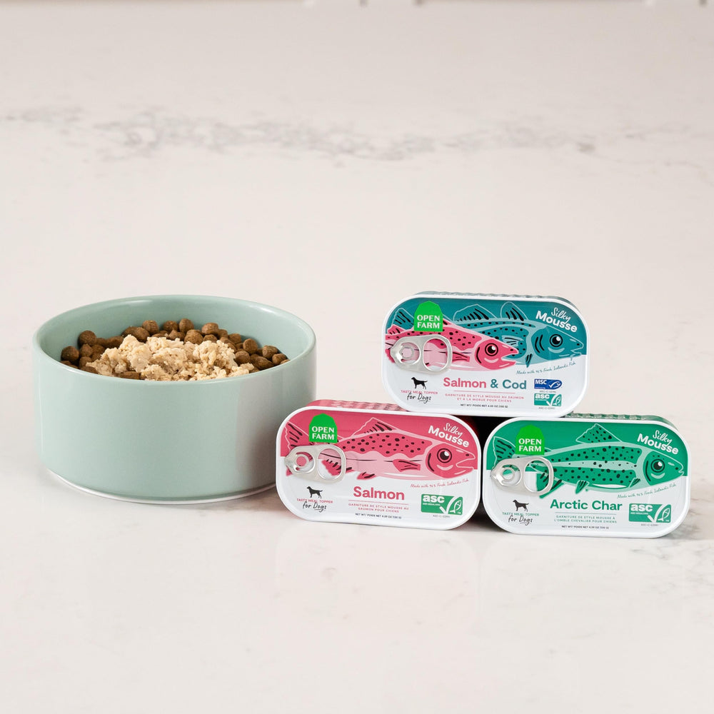 Open Farm topper en cuisine avec chien approchant, facilité d'utilisation