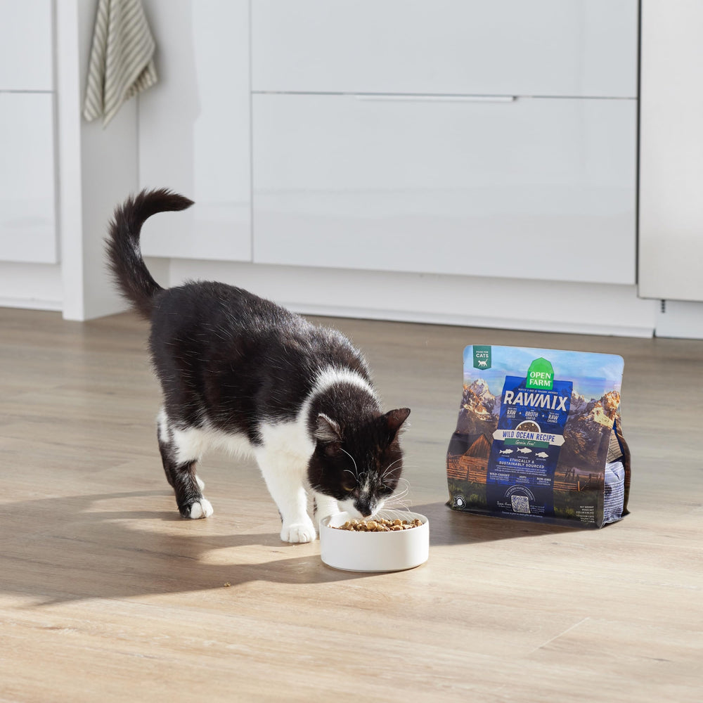 Open Farm produit en cuisine écoresponsable soulignant pratiques durables