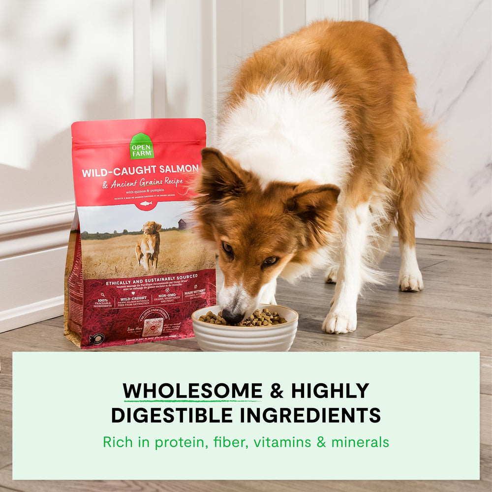 Open Farm ingrédients visibles avoine quinoa citrouille pour nutrition complète