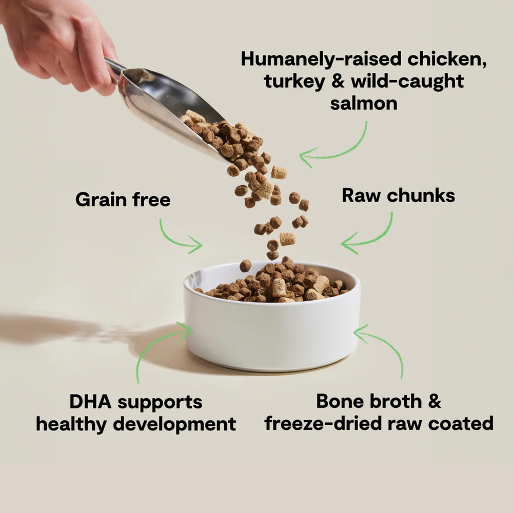 Open Farm gros plan du kibble montrant texture croquante et nutrition