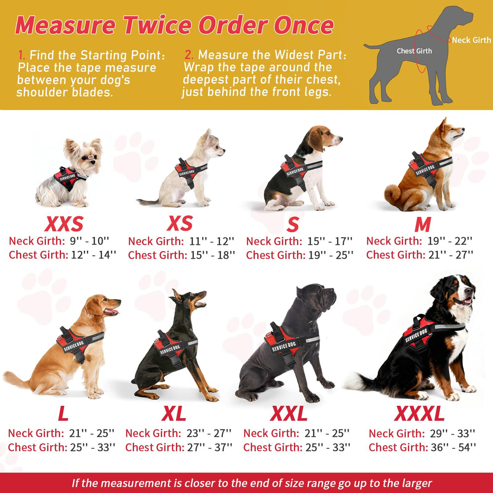 Opstin gilet porté par chien en milieu urbain illustrant visibilité et usage quotidien