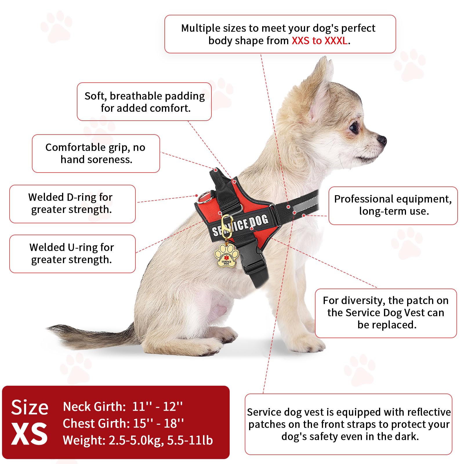 Opstin patches et 50 cartes d'information pour identification claire et rapide