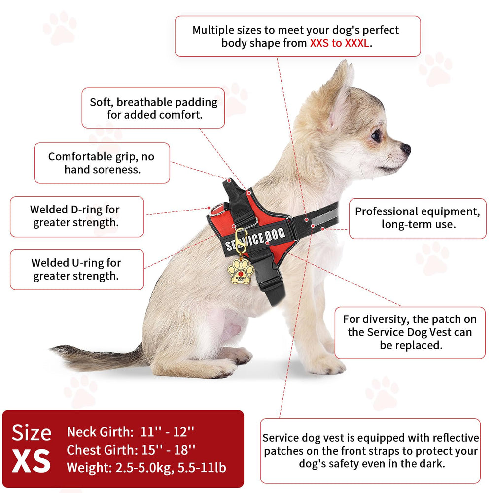 Opstin patches et 50 cartes d'information pour identification claire et rapide