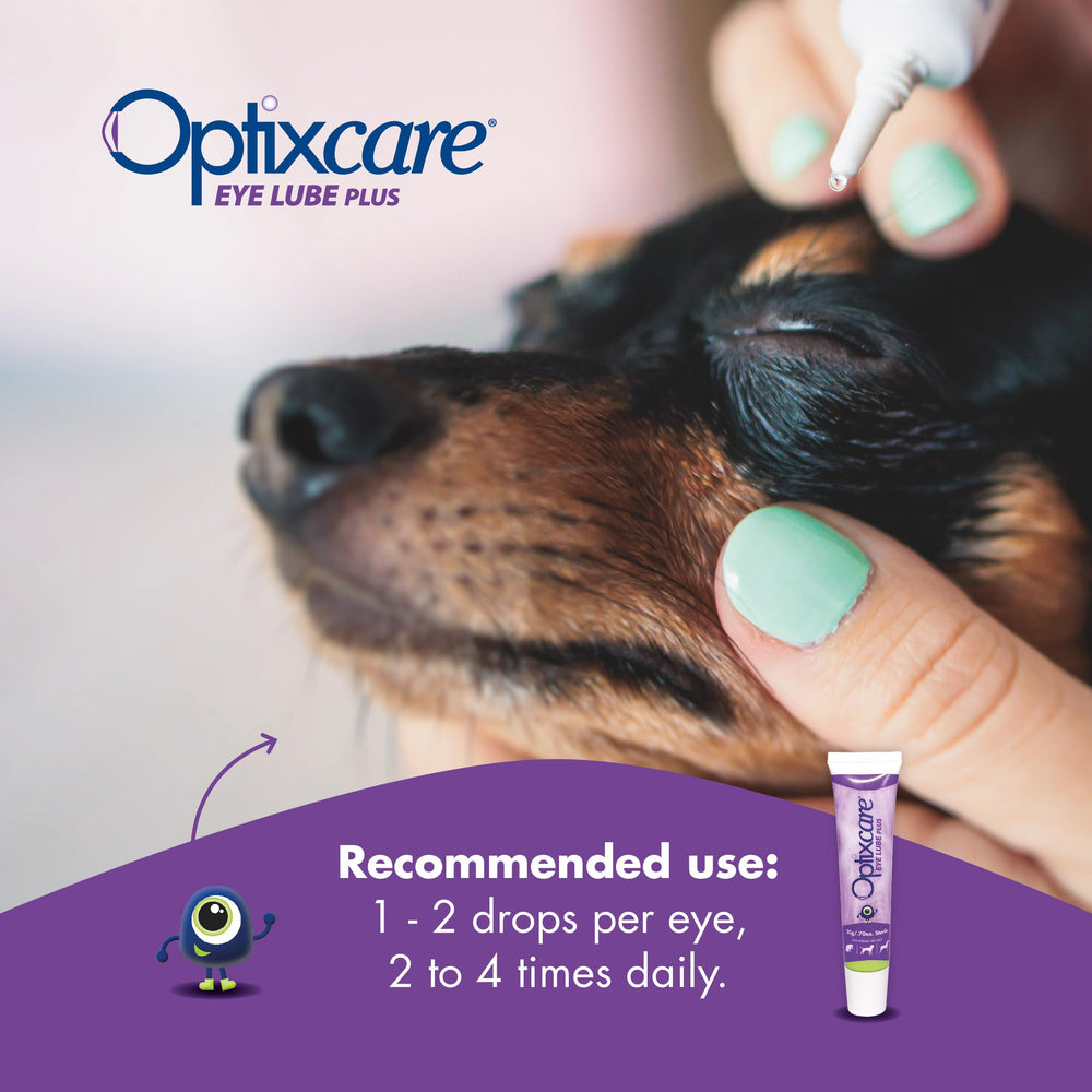 OptixCare application sur chien facilite confort oculaire et routine soin