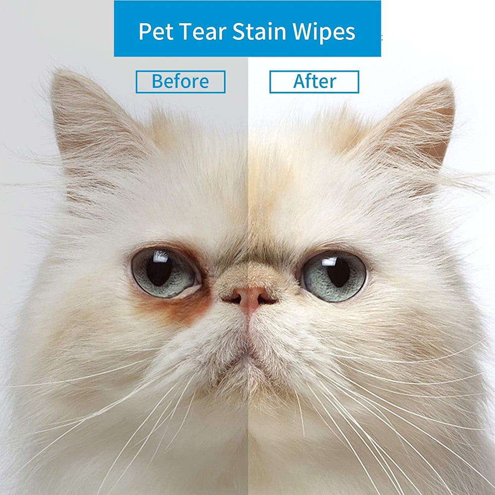 OPULA lingette en usage sur chien, nettoie croûtes et larmes sans irriter