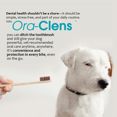 Ora-Clens chien acceptant friandise en extérieur pour hygiène quotidienne