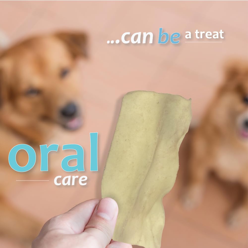 Ora-Clens chien mâchant la friandise et profitant d'une haleine fraîche