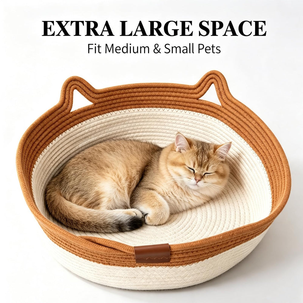 Orandan comparaison de taille illustre espace pour chats plus grands