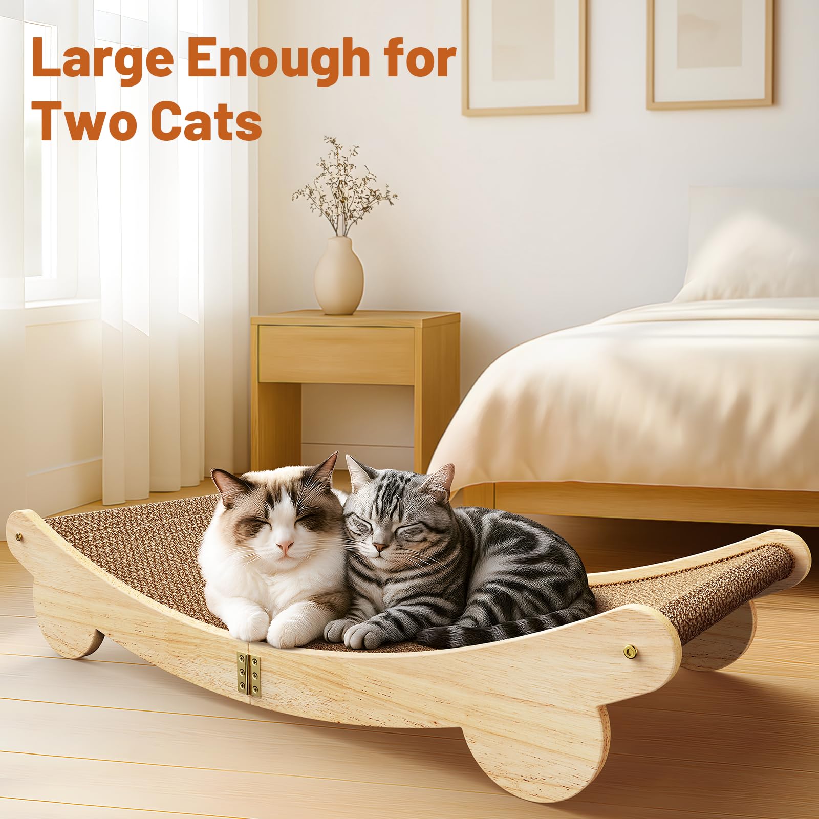 ORDORA comparaison taille montrant espace extra-large pour chat