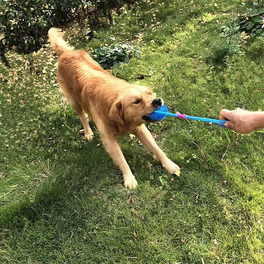 Orgrimmar détail de l’ouverture sifflet interne créant un son attractif pour le chien