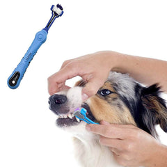 Orgrimmar brosse en usage sur un chien réduisant le stress du brossage