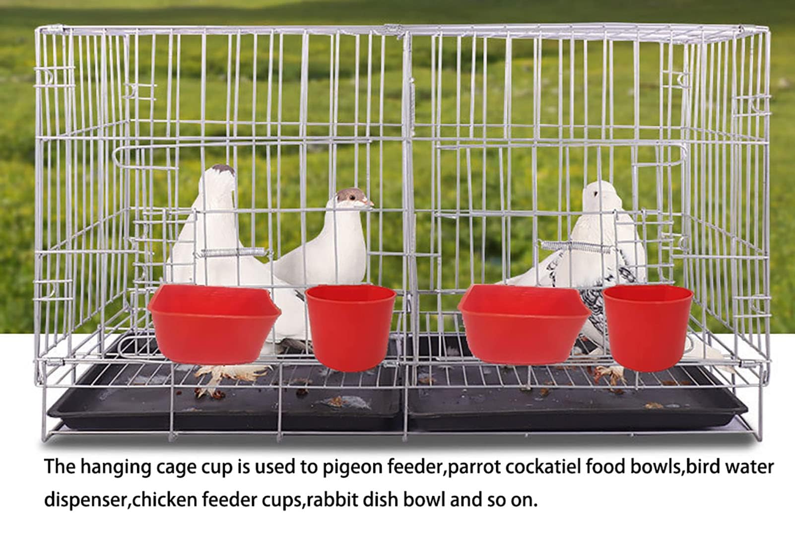 ORIBUKI mise en situation en cage montrant accessibilité et organisation