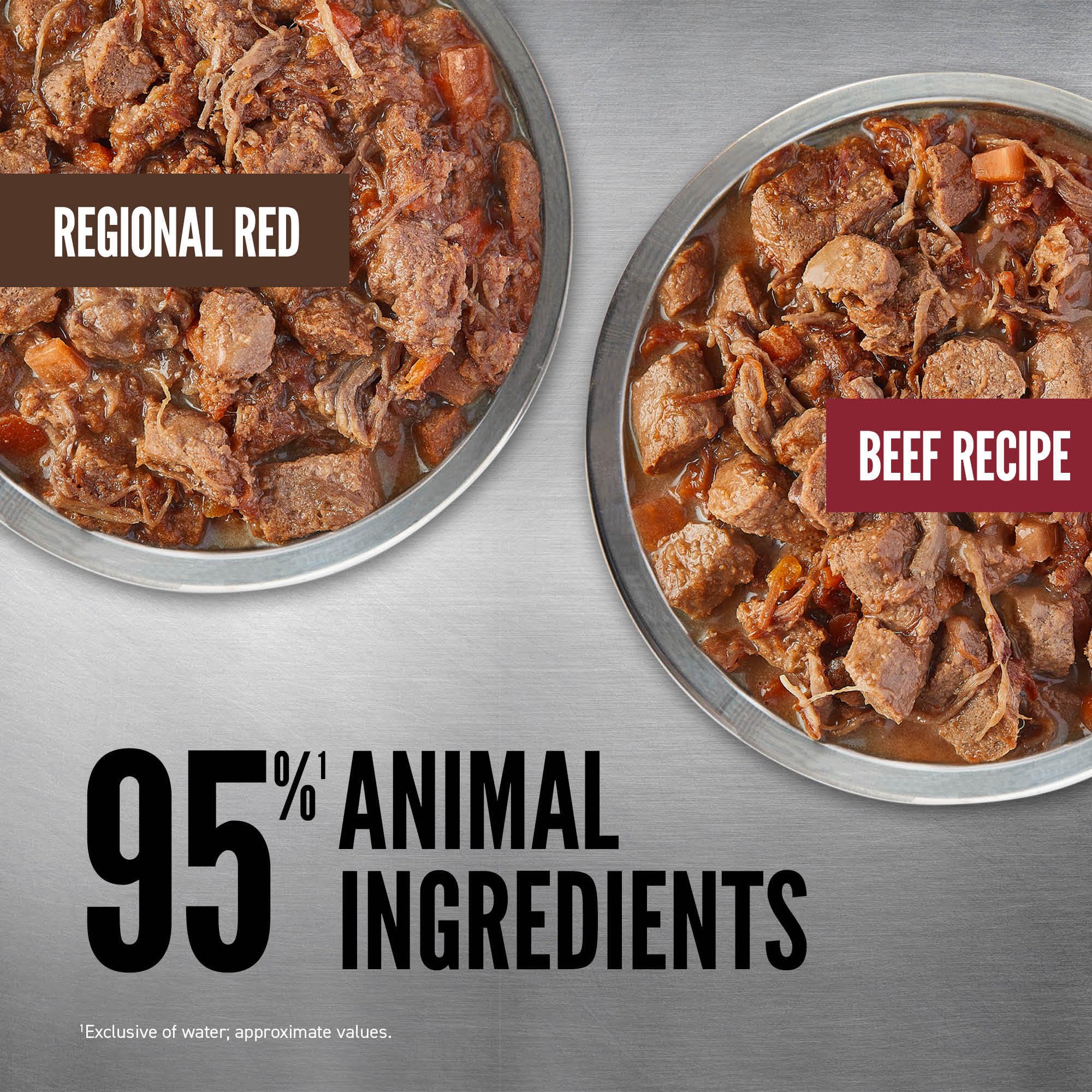 ORIJEN chien mangeant le repas pour appetence et plaisir alimentaire