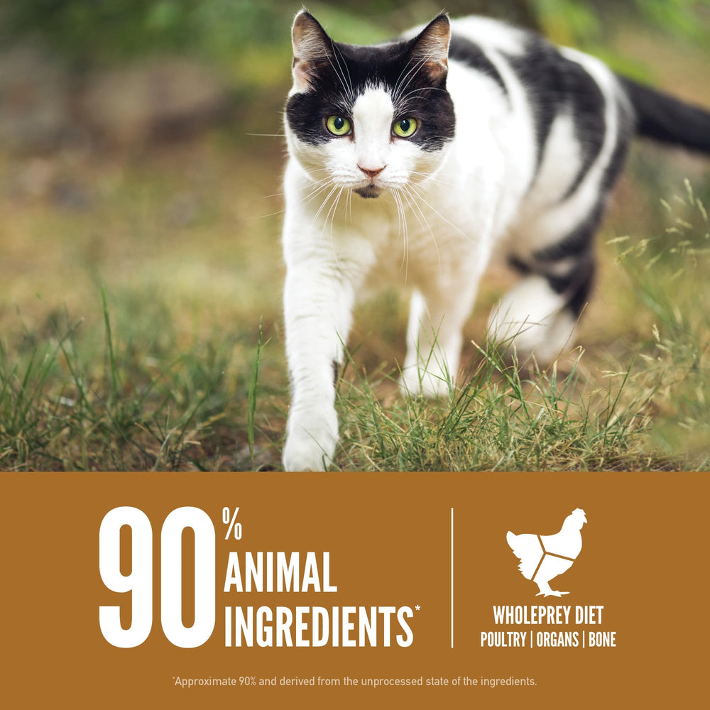 ORIJEN comparaison d'échelle sac 12 lb à côté d'un chat pour référence