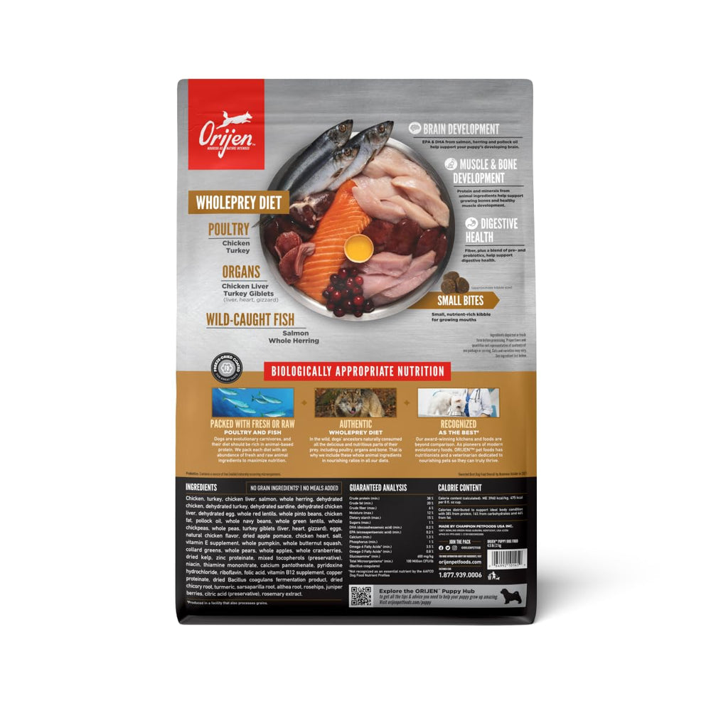 ORIJEN gros plan des croquettes montrant texture et digestibilité