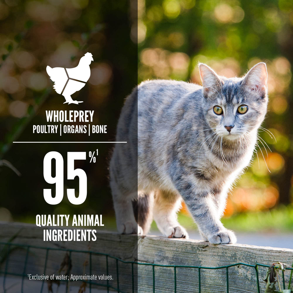 ORIJEN assortiment d'ingrédients frais illustrant la provenance animale