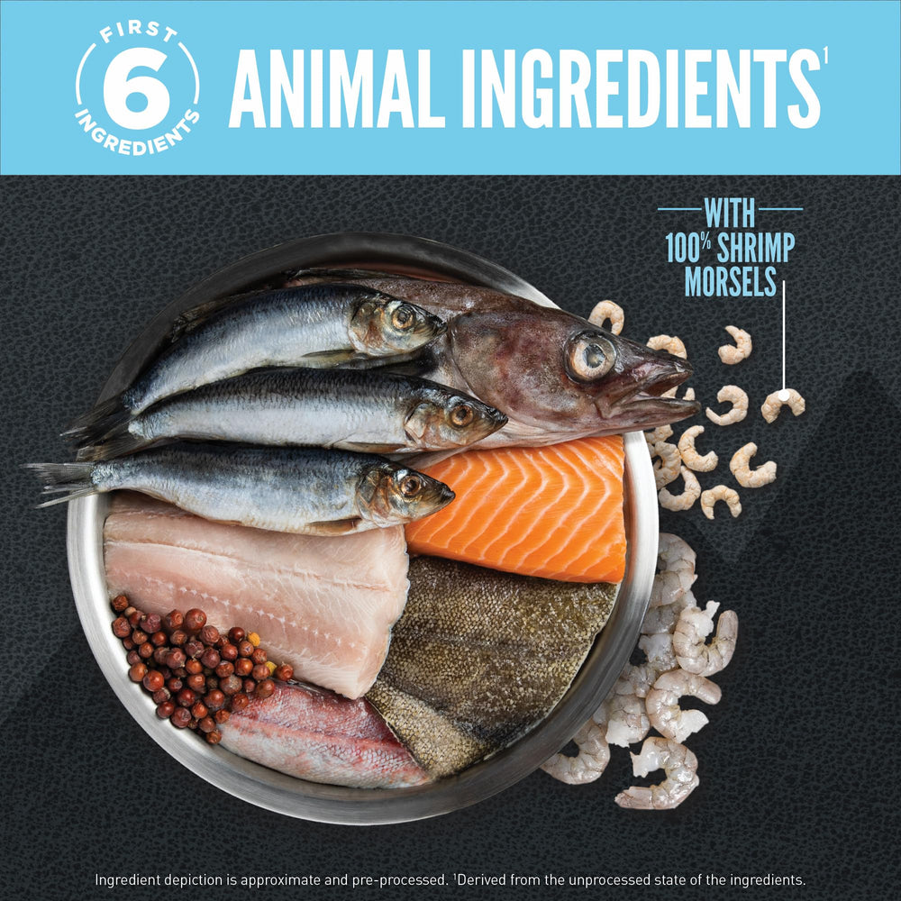 Assortiment de poissons entiers ORIJEN illustrant diversité et nutrition