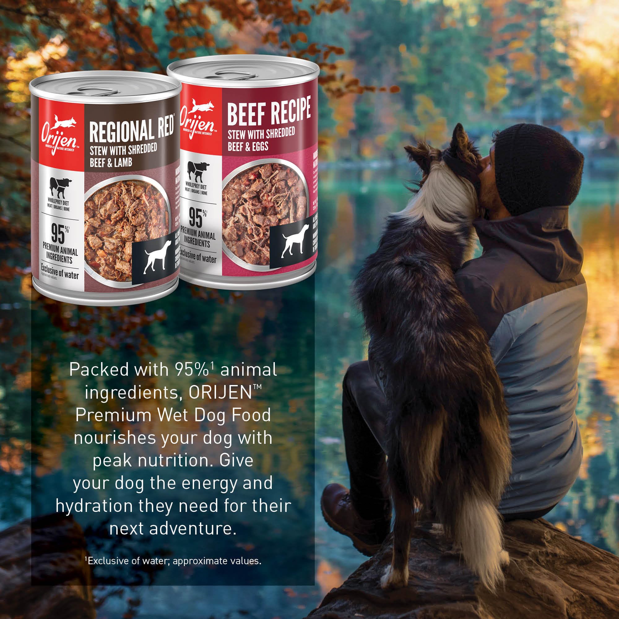 ORIJEN chien mangeant ragoût pour appétit retrouvé et plaisir