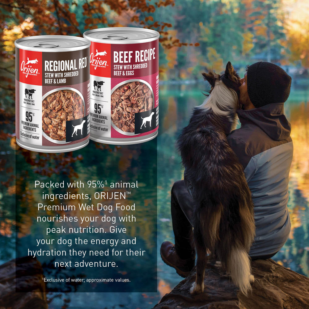 ORIJEN chien mangeant ragoût pour appétit retrouvé et plaisir