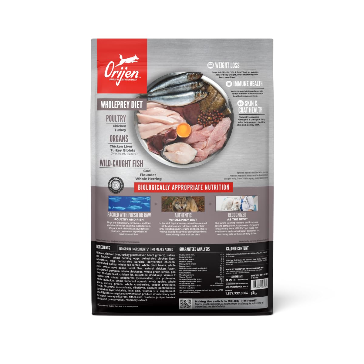 Gros plan croquette ORIJEN montrant texture et haute appétence pour chien actif