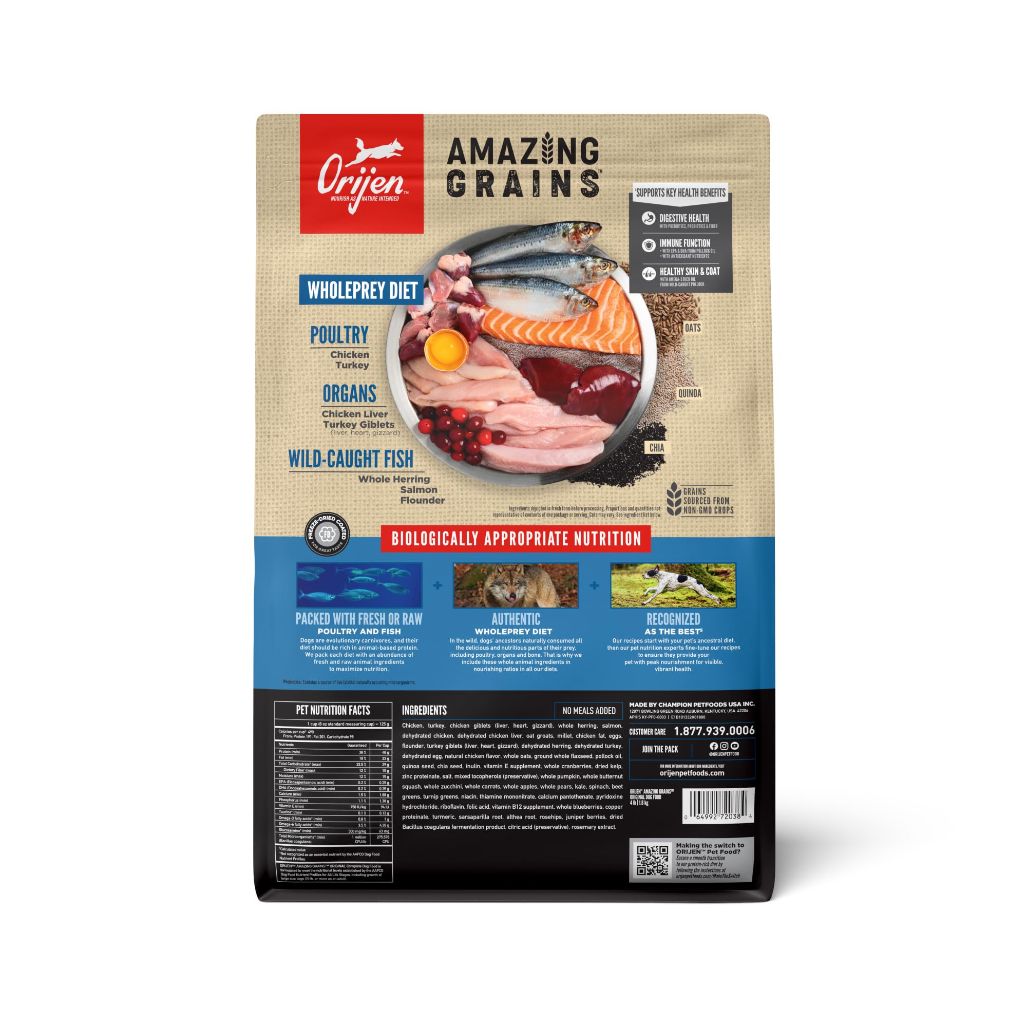 ORIJEN zoom sur la texture des croquettes apportant appétence et croquant digestible