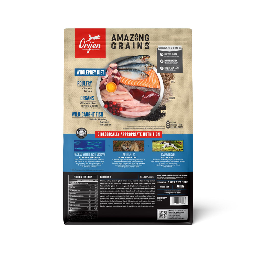 ORIJEN zoom sur la texture des croquettes apportant appétence et croquant digestible