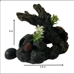 OrnaMounts décoration dans aquarium planté crée niveaux et cachettes