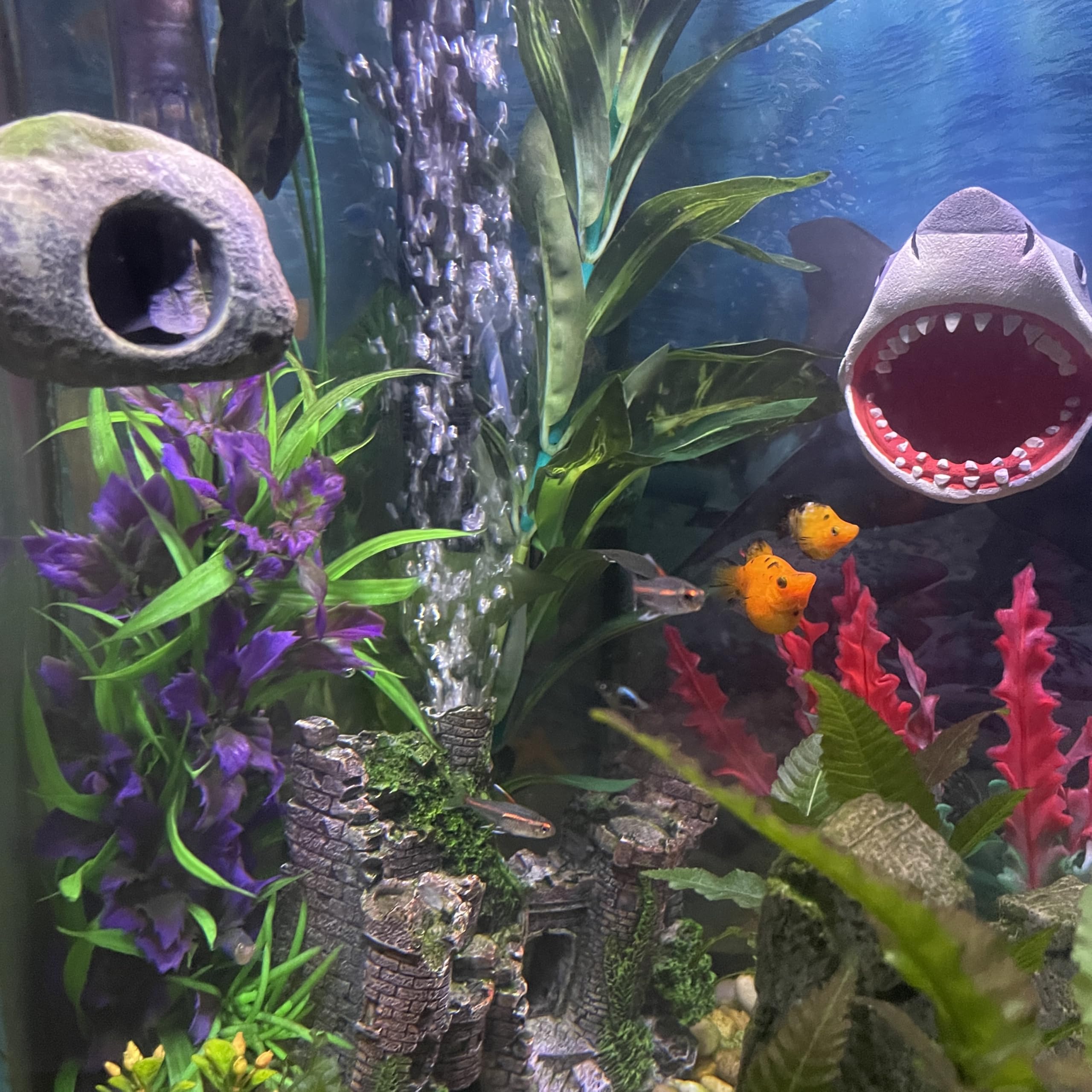 OrnaMounts décor d'aquarium lifestyle montrant intégration naturelle